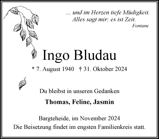 Traueranzeige von Ingo Bludau von Stormaner Tageblatt