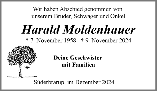 Traueranzeige von Harald Moldenhauer von Schleswiger Nachrichten, Schlei-Bote