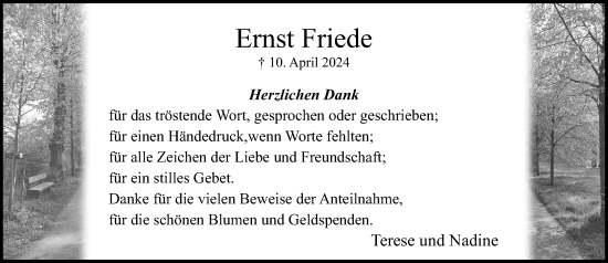 Traueranzeige von Ernst Friede von Stormaner Tageblatt