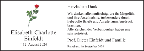 Traueranzeige von Elisabeth-Charlotte Einfeldt von Stormaner Tageblatt