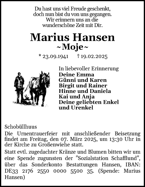 Traueranzeige von Marius Hansen von Flensburger Tageblatt