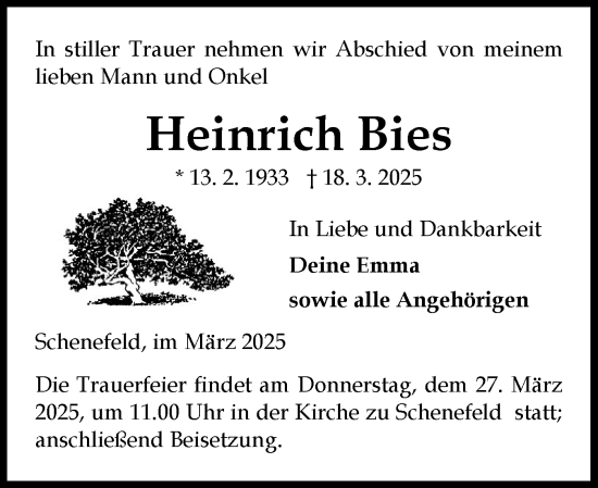 Traueranzeige von Heinrich Bies von Norddeutsche Rundschau, Wilstersche Zeitung, Glückstädter Fortuna