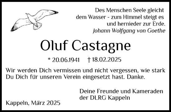 Traueranzeige von Oluf Castagne von Schleswiger Nachrichten, Schlei-Bote