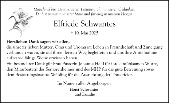 Traueranzeige von Elfriede Schwantes von Elmshorner Nachrichten, Barmstedter Zeitung