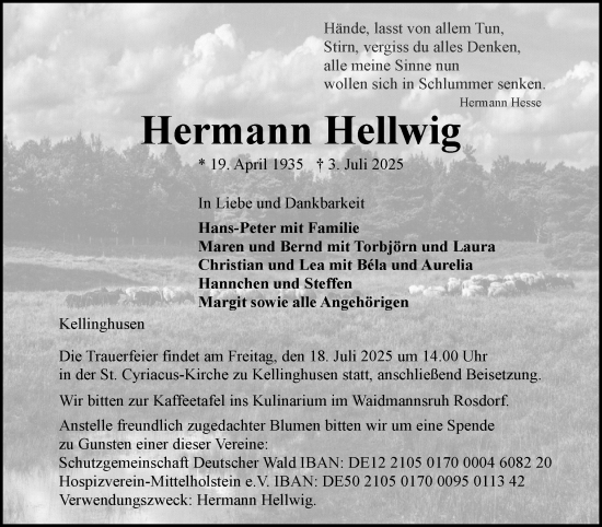Traueranzeige von Hermann Hellwig von Norddeutsche Rundschau, Wilstersche Zeitung, Glückstädter Fortuna
