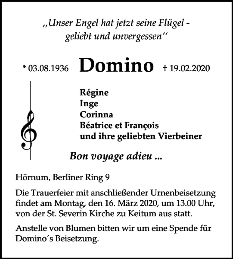  Traueranzeige für Domino  vom 07.03.2020 aus Sylter Rundschau