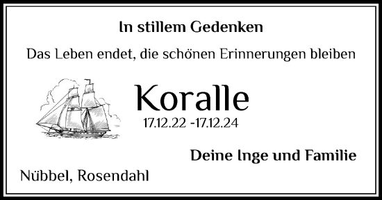 Traueranzeige von Koralle  von Schleswig-Holsteinische Landeszeitung