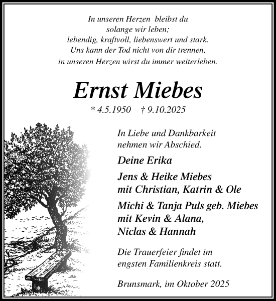 Traueranzeige von Ernst Miebes von MARKT Ratzeburg/Mölln