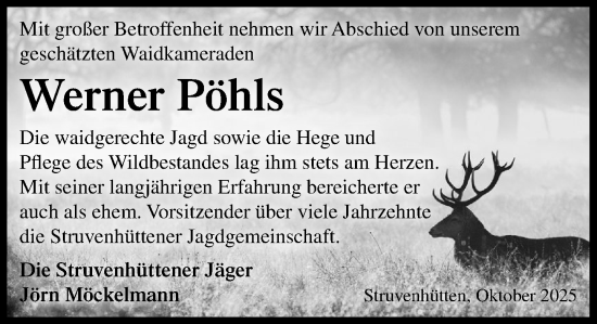 Traueranzeige von Werner Pöhls von Umschau