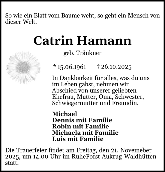 Traueranzeige von Catrin Hamann von Holsteinischer Courier