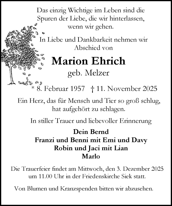 Traueranzeige von Marion Ehrich von MARKT Ahrensburg/Bargteheide/Trittau und Stormarner Tageblatt