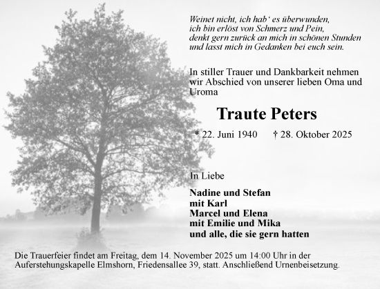 Traueranzeige von Traute Peters von Elmshorner Nachrichten, Barmstedter Zeitung