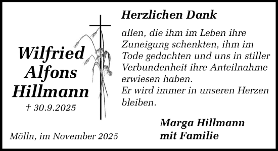 Traueranzeige von Wilfried Alfons Hillmann von MARKT Ratzeburg/Mölln