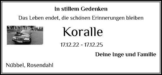 Traueranzeige von Koralle  von Schleswig-Holsteinische Landeszeitung