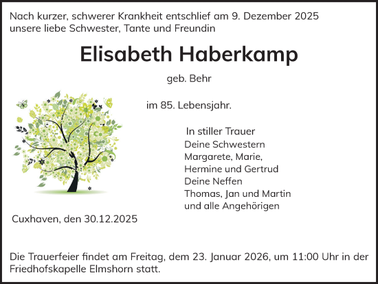 Traueranzeige von Elisabeth Haberkamp von Elmshorner Nachrichten, Barmstedter Zeitung