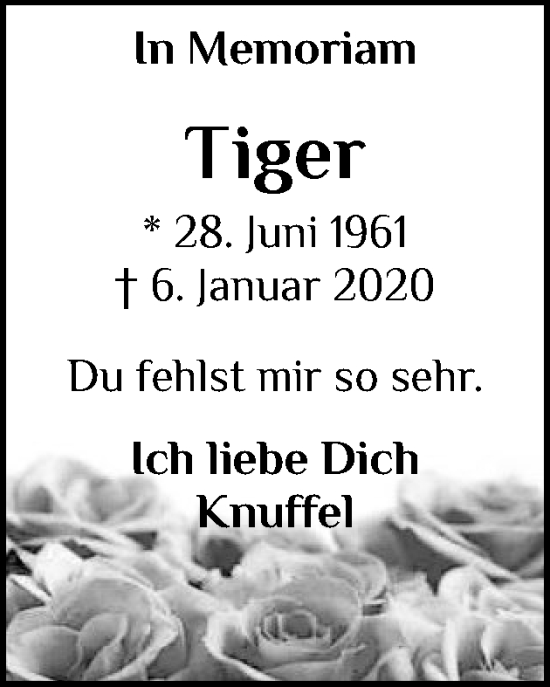Traueranzeige von Tiger  von Region Pinneberg und tip Pinneberg